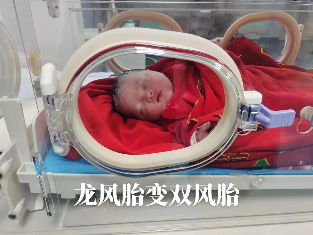 香港澳门 第5页